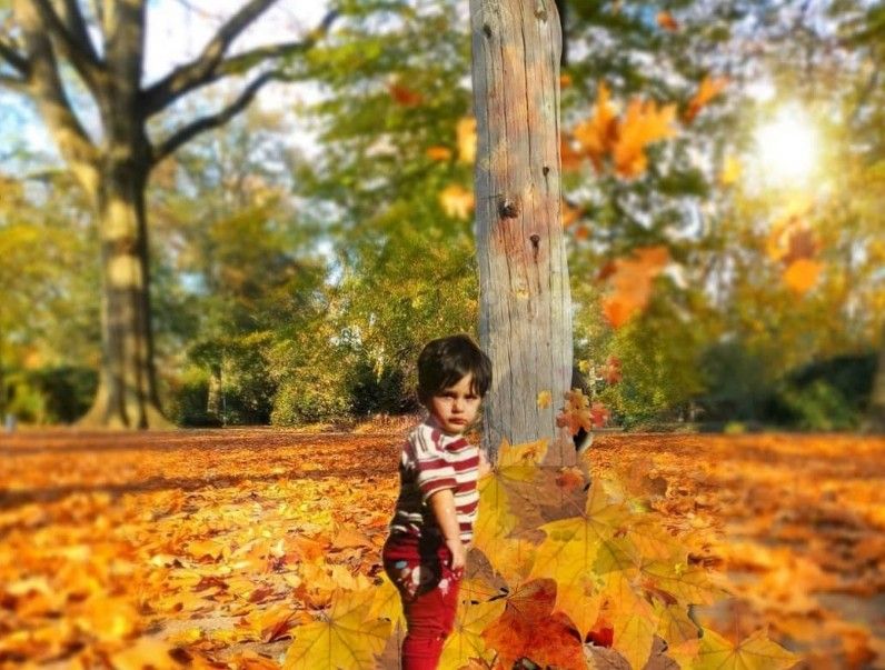 پاییز-زیبا-۱۴۰۰ امیرعلی پنجه