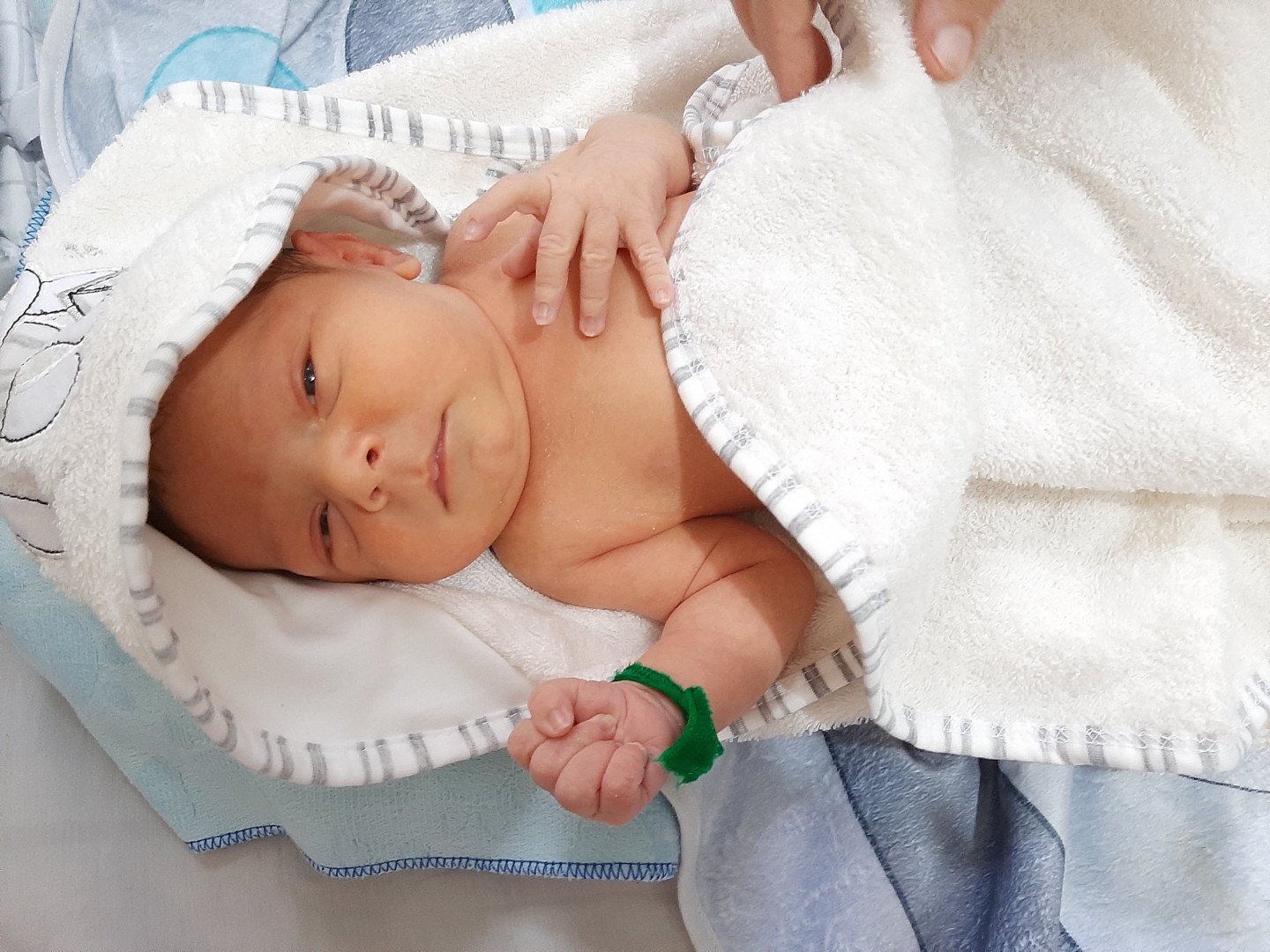 متولد شدن نوزاد اراز عابدپور