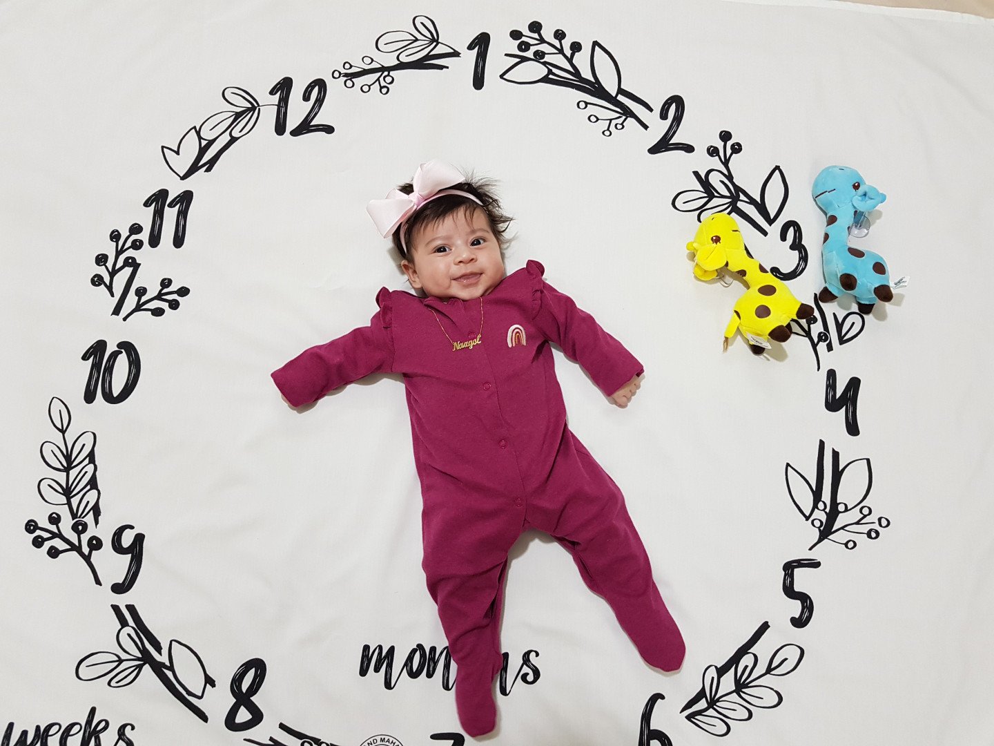 تم عکس زمستانی نوزاد نازگل شاهمیرزالو