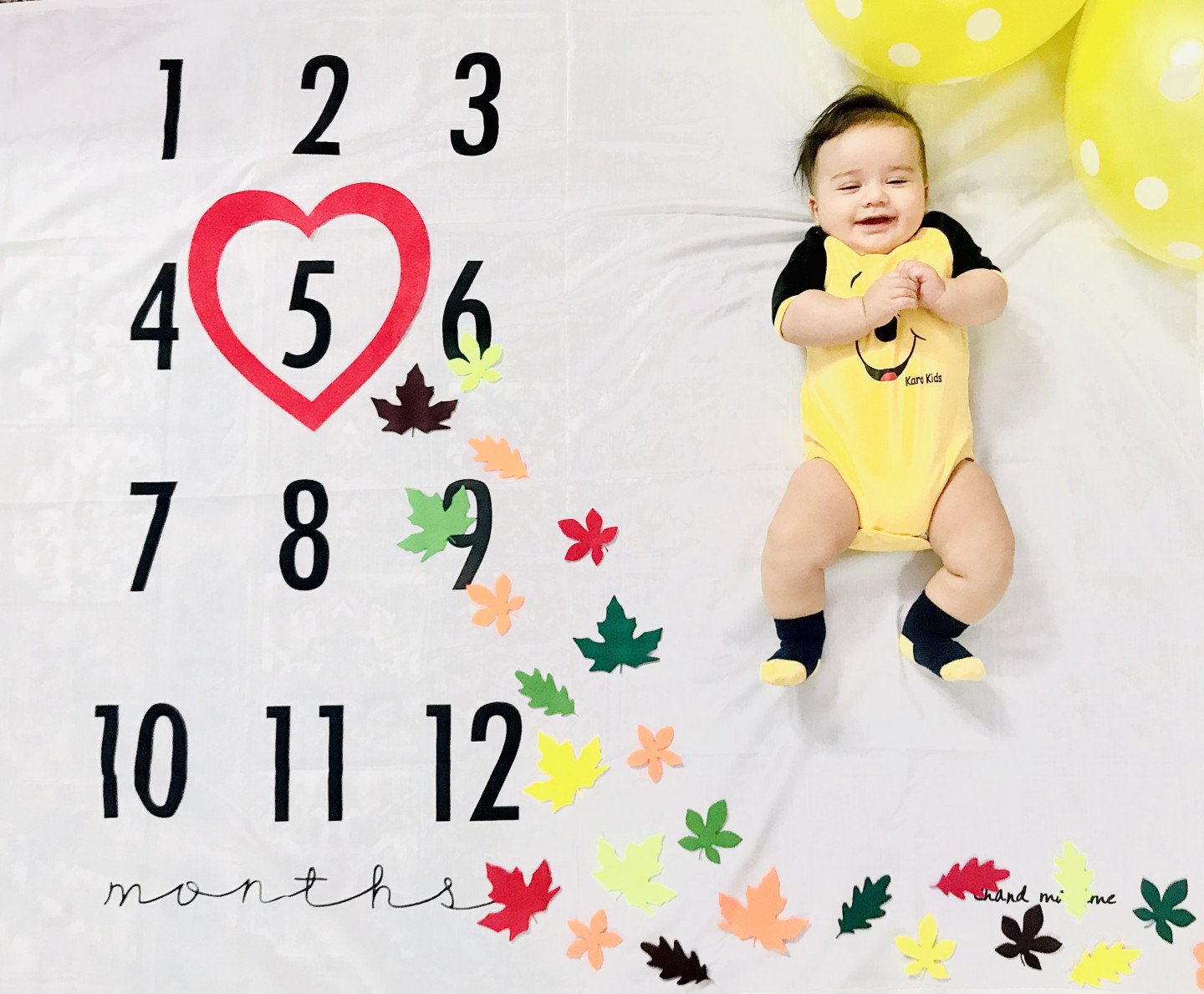 تم و تزیینات نمدی طرح گل و برگ امیرعلی شفیعی