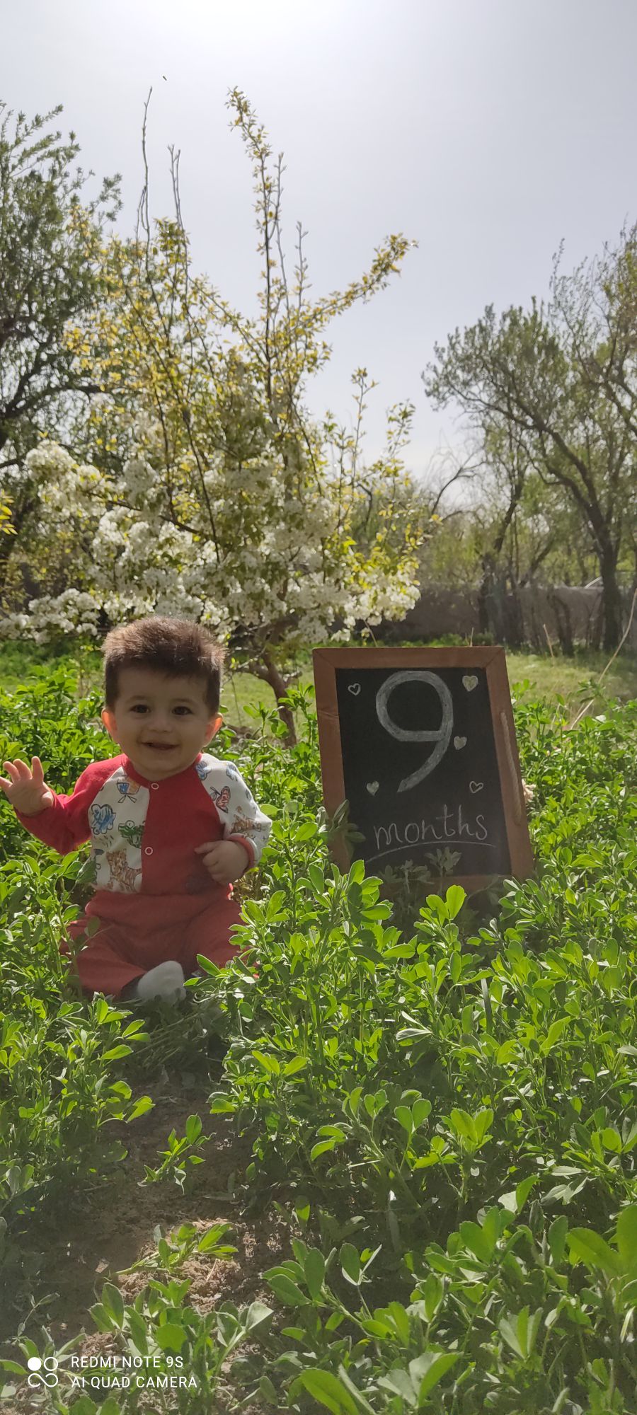 نه ماهگی نوزاد آرمین مهدیان