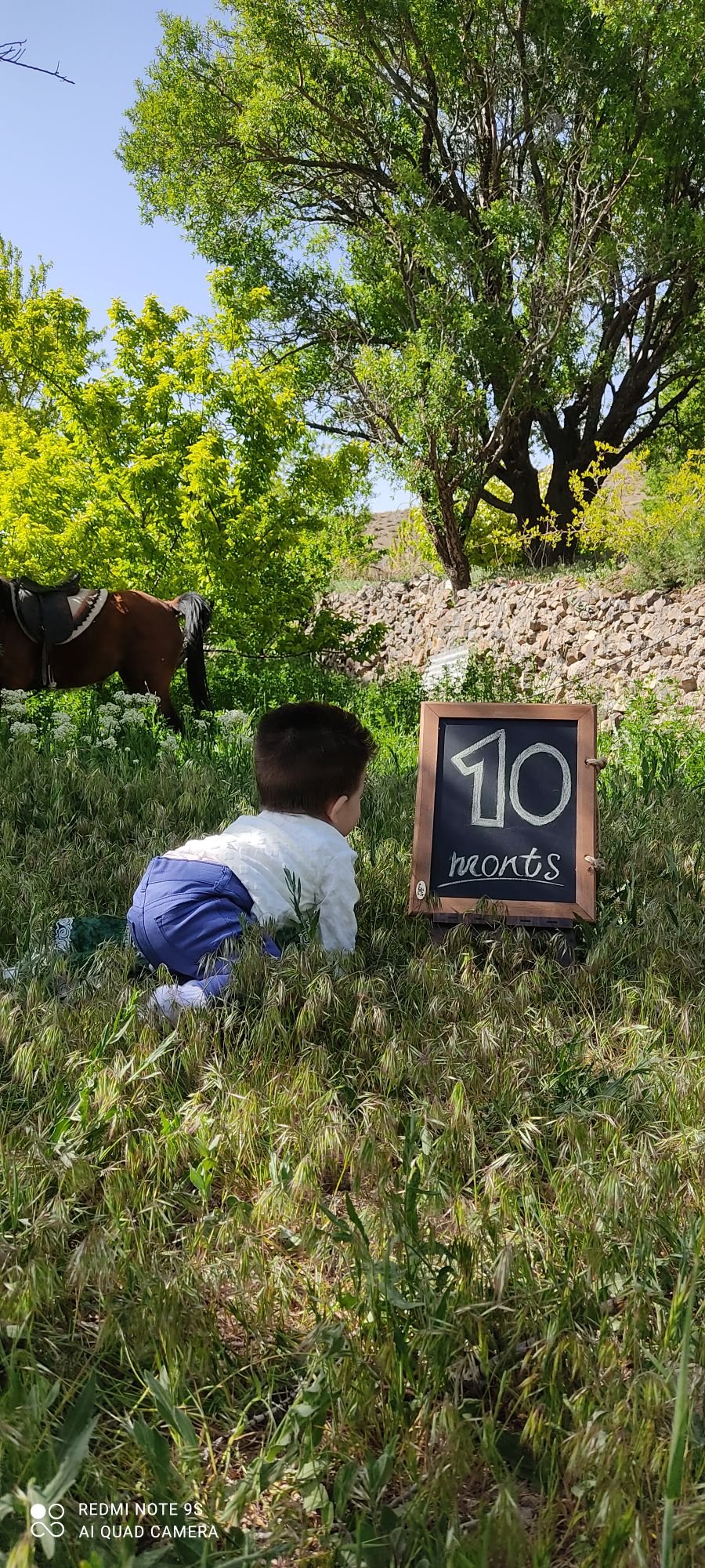 ده ماهگی نوزاد آرمین مهدیان