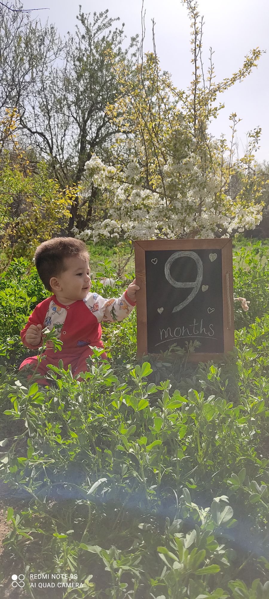 نه ماهگی نوزاد آرمین مهدیان