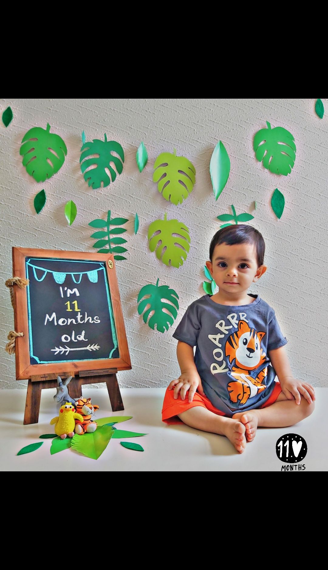 ماهگرد رادین عربی