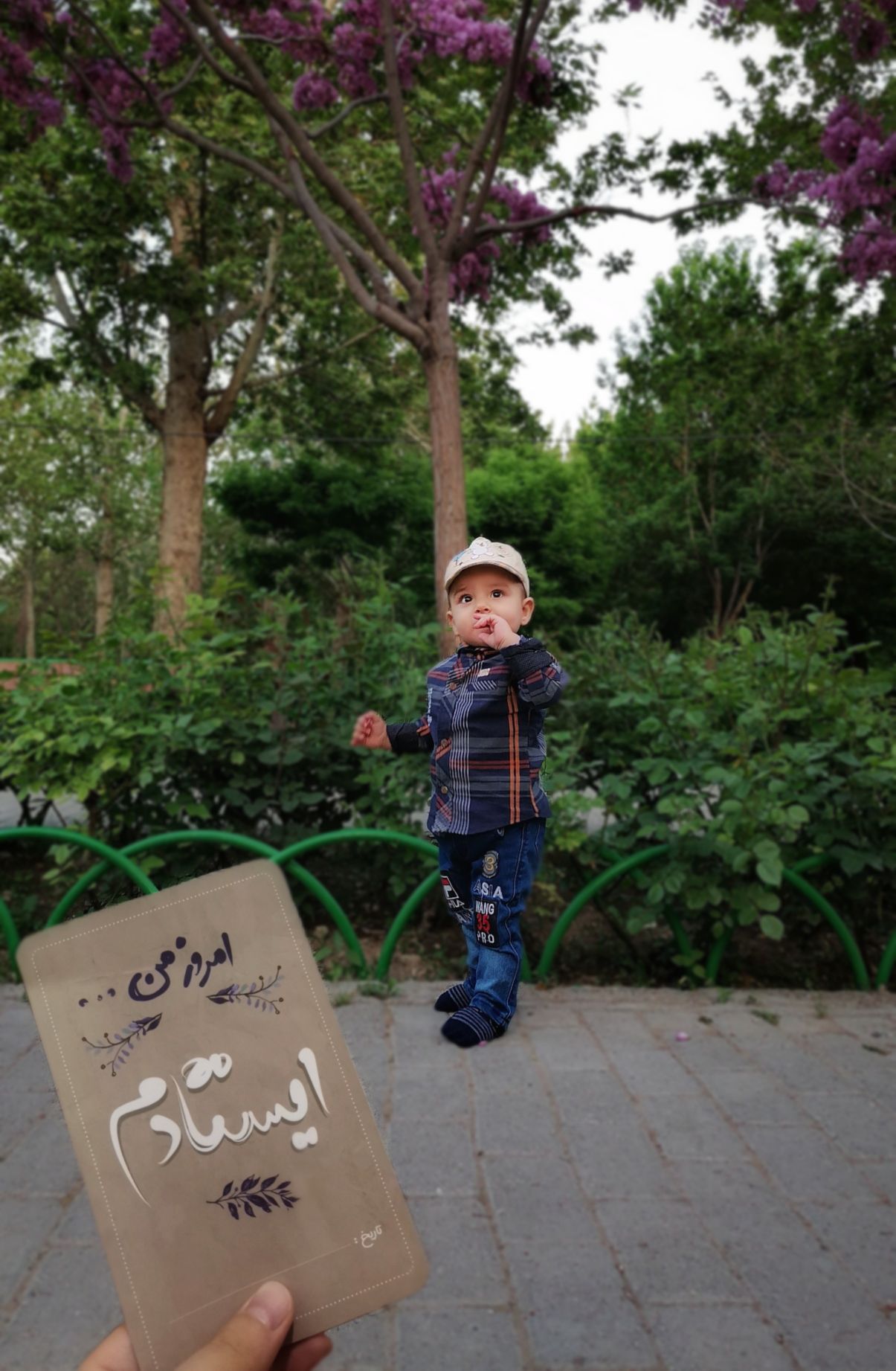 یازده ماهگی نوزاد محمد امین اردکانی