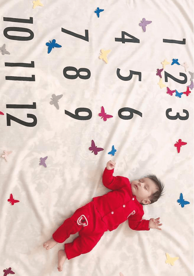 تم-و-تزیینات-نمدی-19866