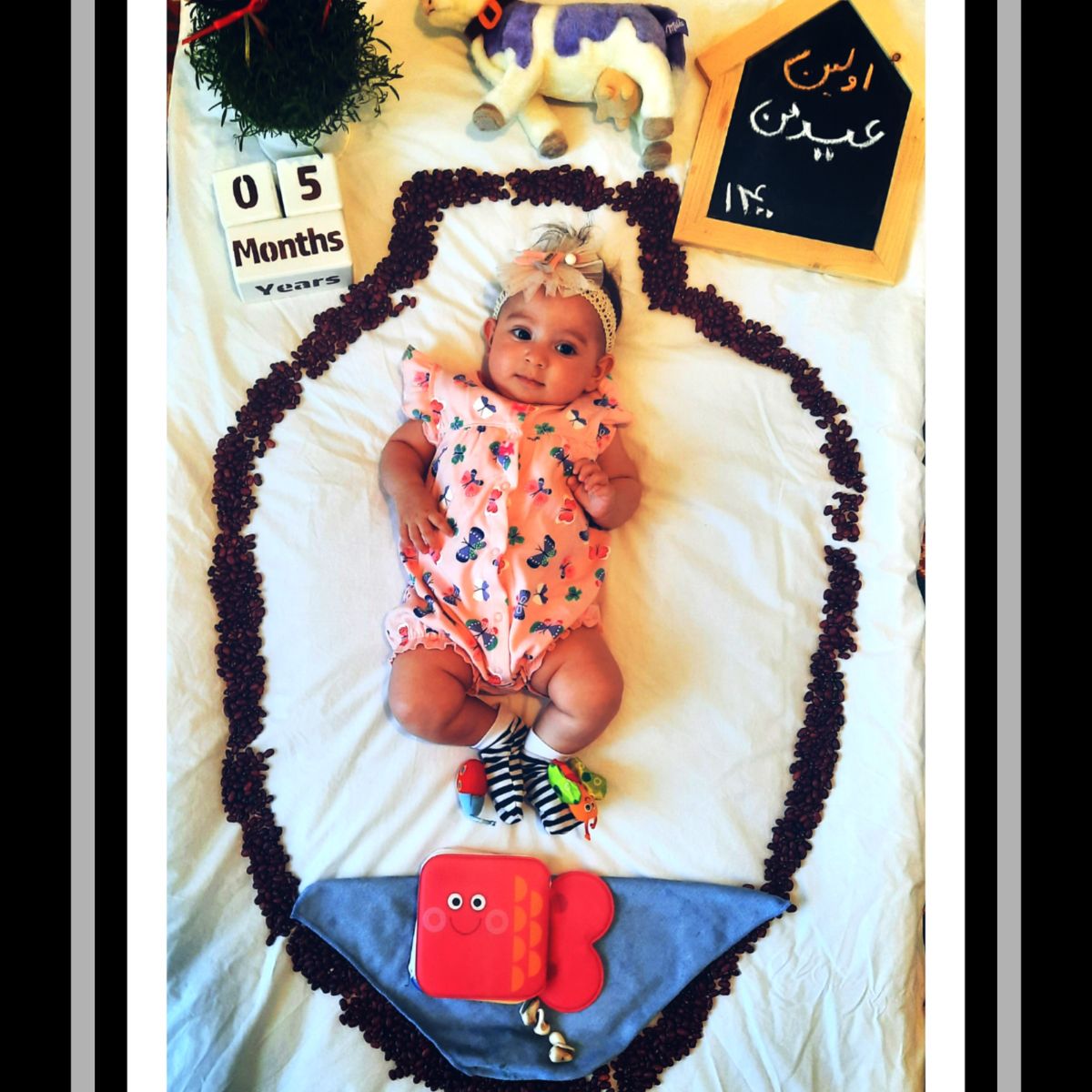 عید نوروز پارمیس پویان