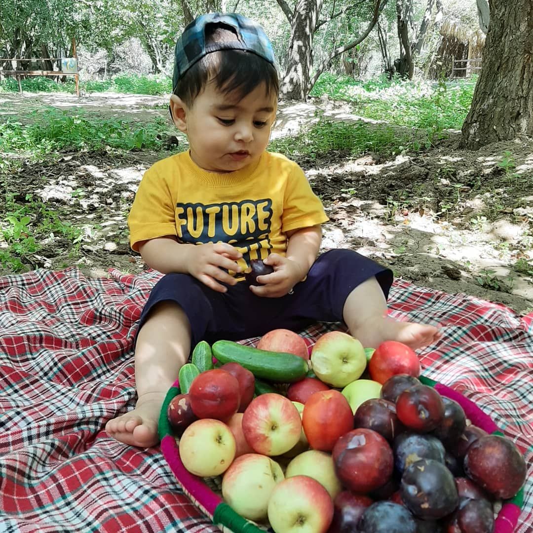 عکاسی با میوه ❤آرسام قاسمی❤