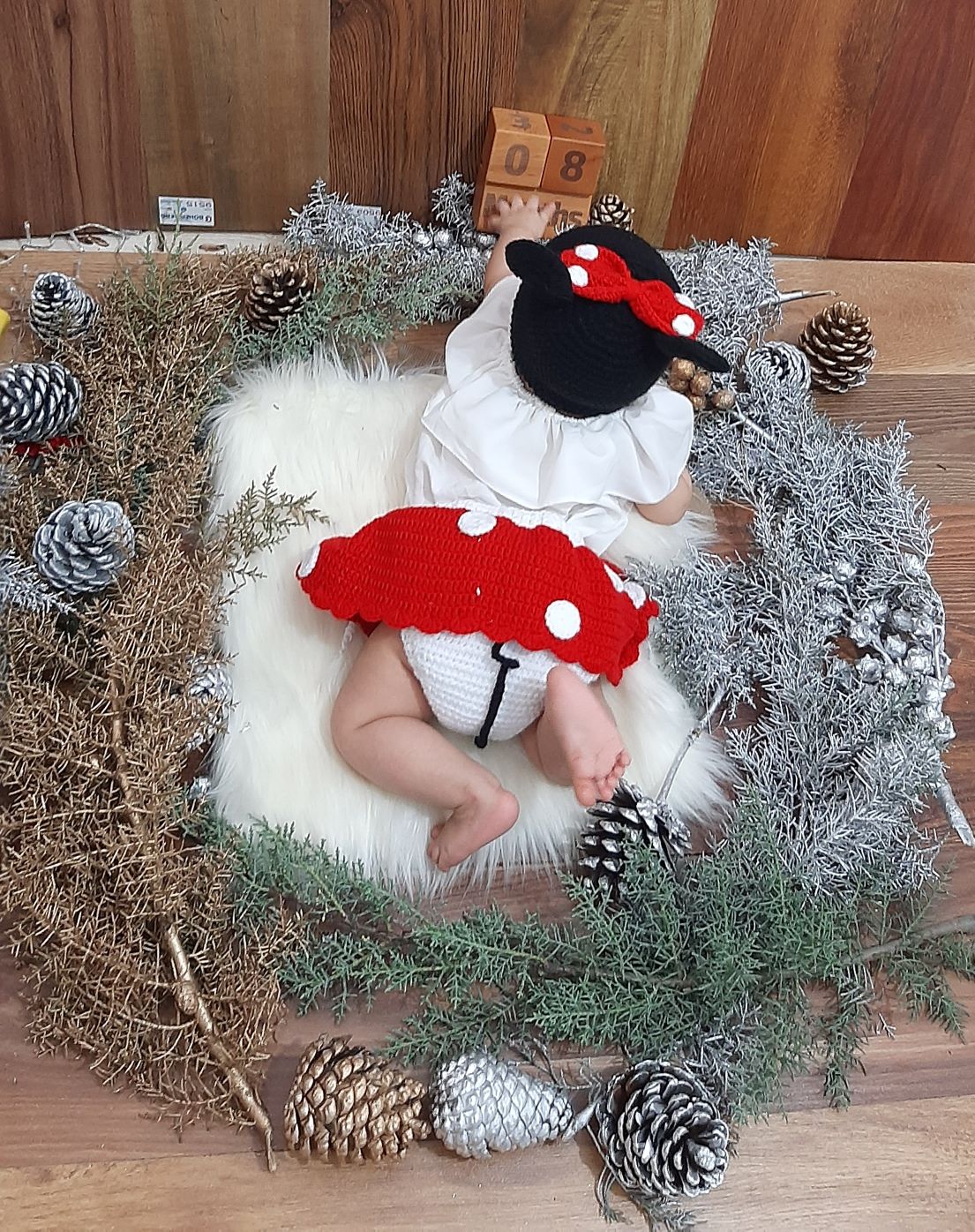 تم عکس زمستانی نوزاد آسناحاجی پور