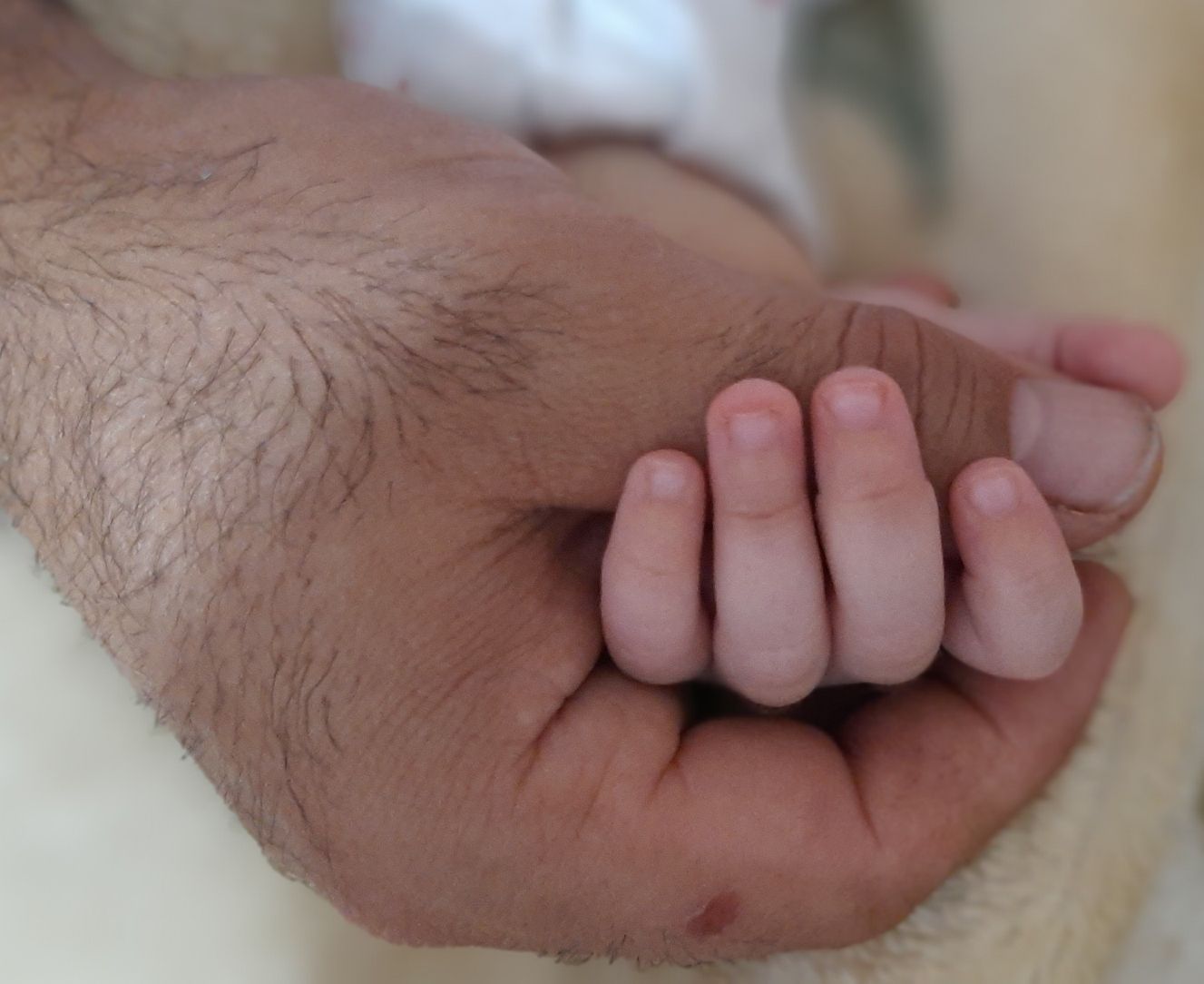 تم عکس تابستانی کودک آسناحاجی پور