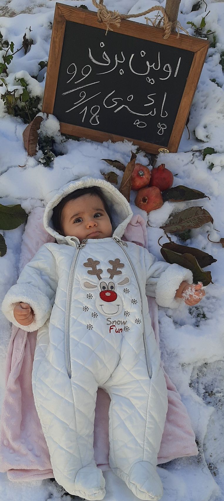 تم عکس زمستانی نوزاد آسناحاجی پور