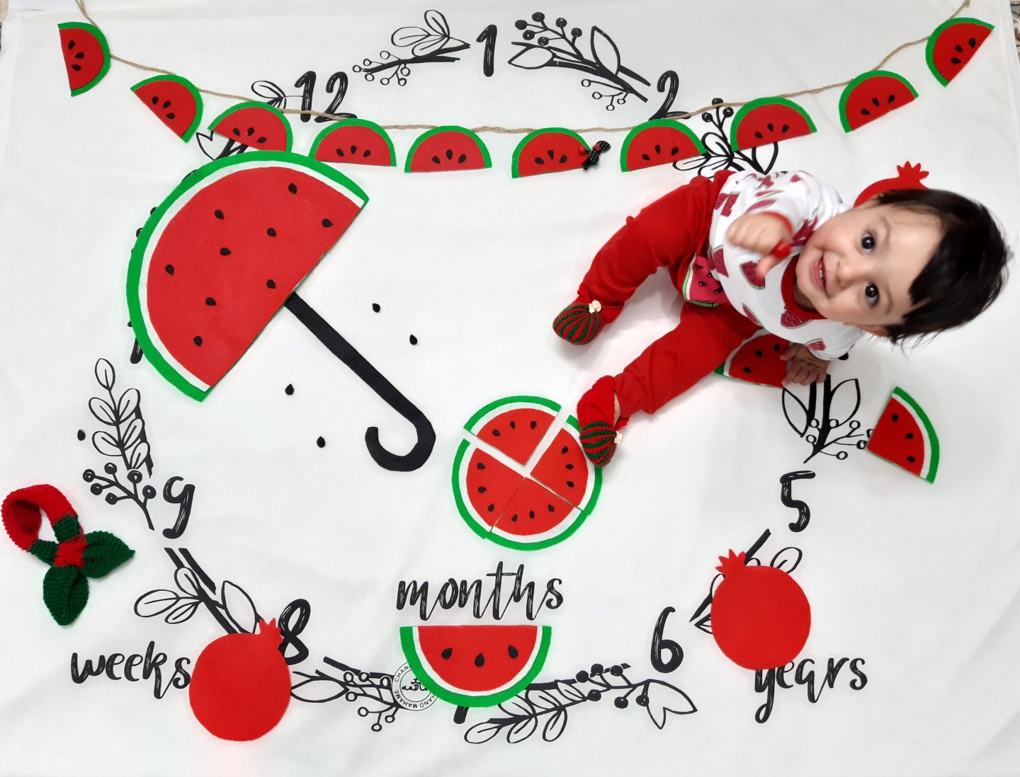 دوازده ماهگی نوزاد سلاله زارع