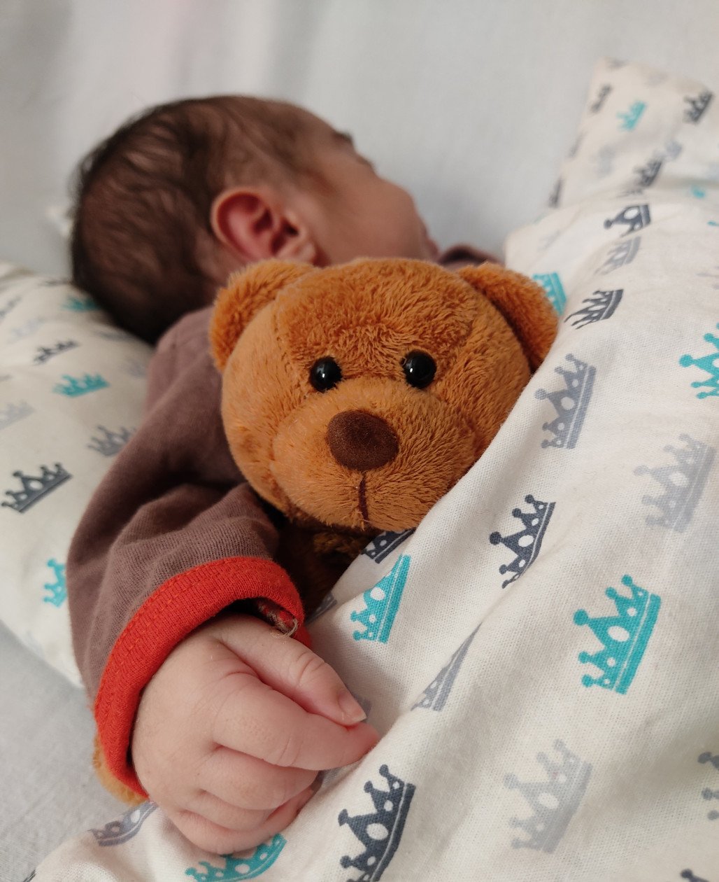 متولد شدن نوزاد آرن طلوعی