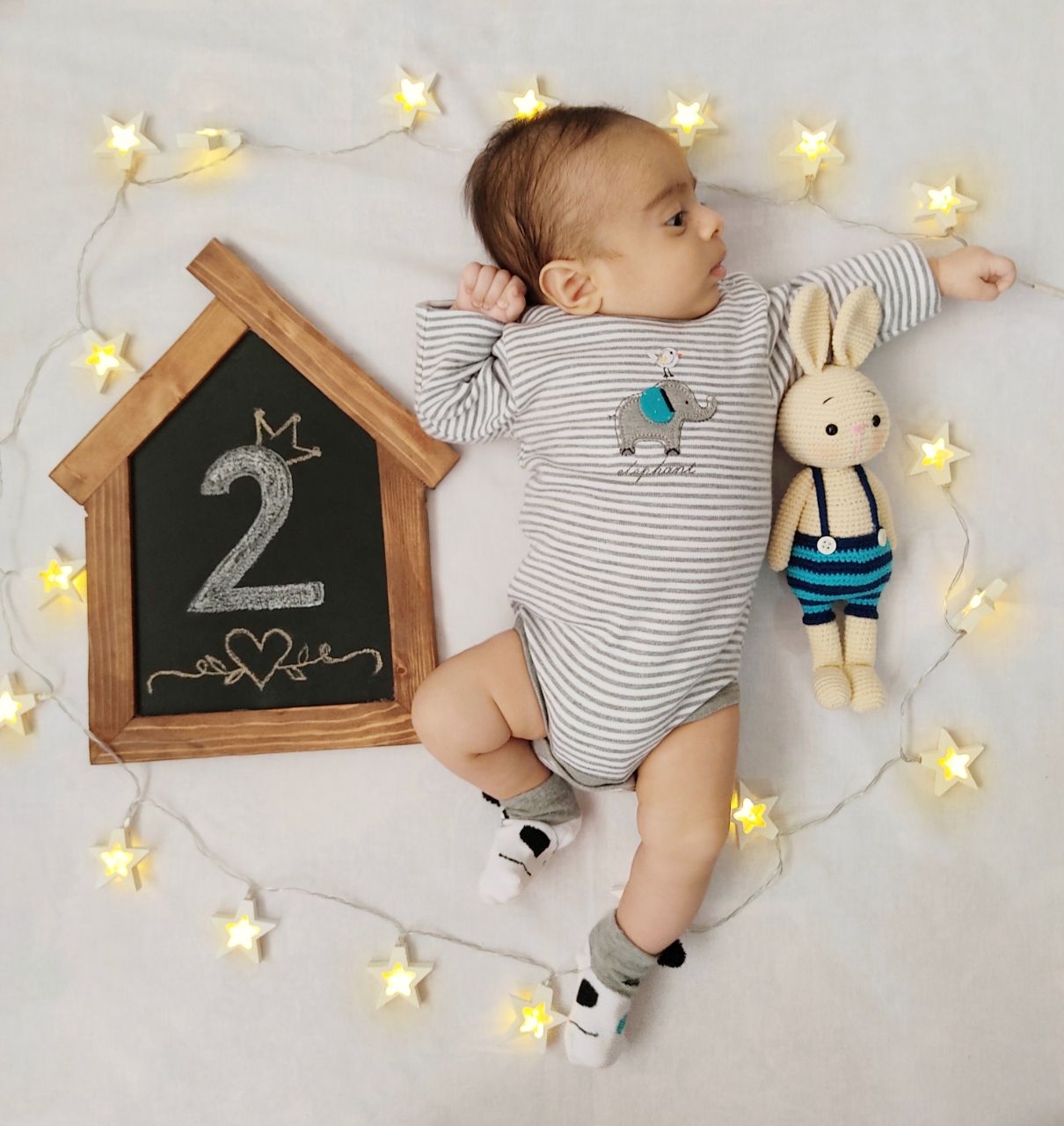 ریسه تزیینی آرن طلوعی