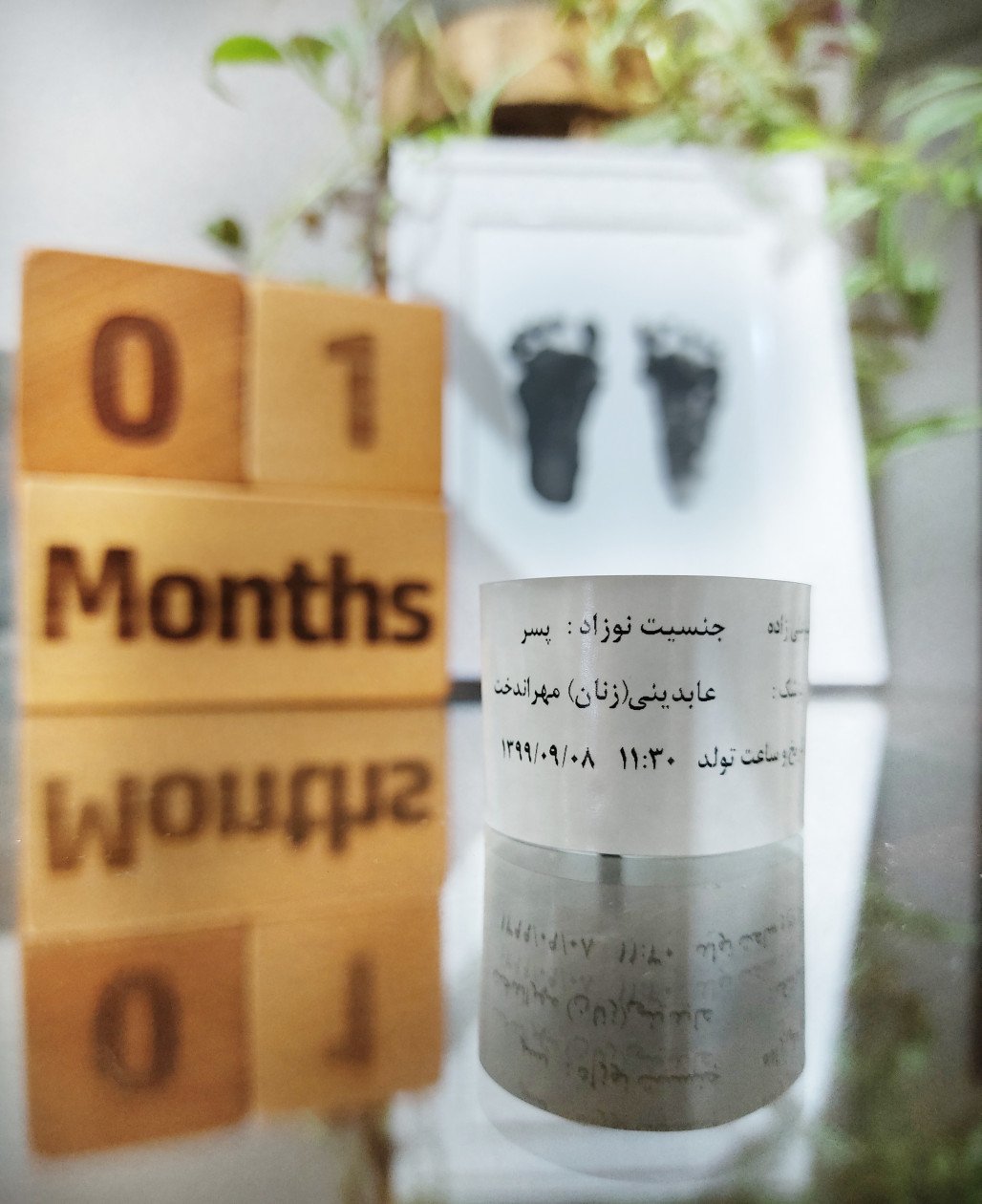 بارداری آرن طلوعی