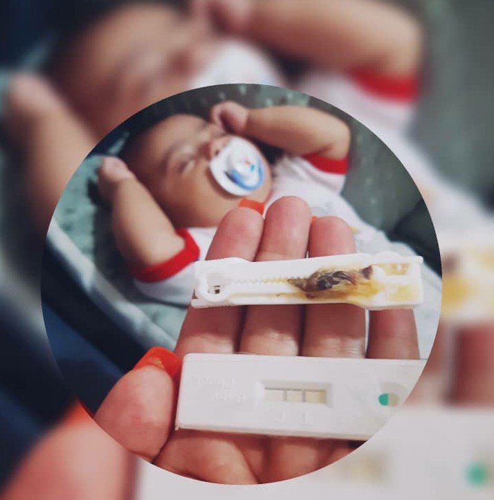 متولد شدن نوزاد نیکان