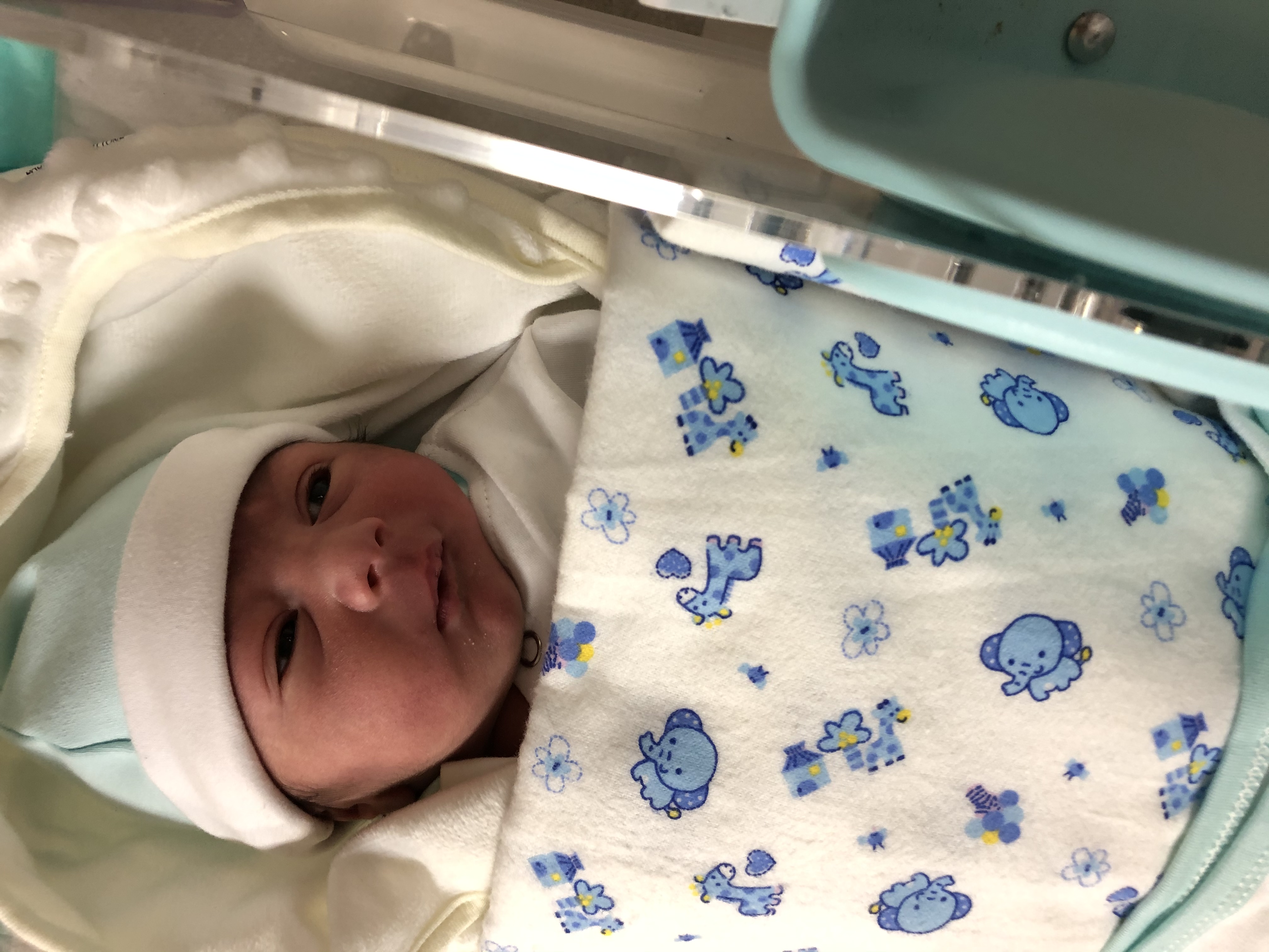 متولد شدن نوزاد کارن رجبی