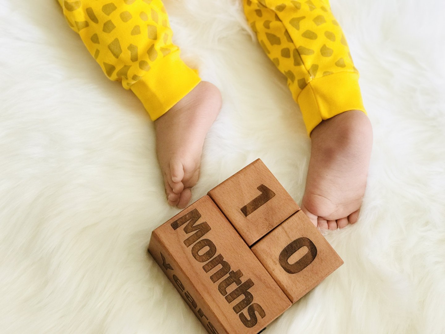 پارچه-ماهگرد-طرح-حلقه-تمشک-39029