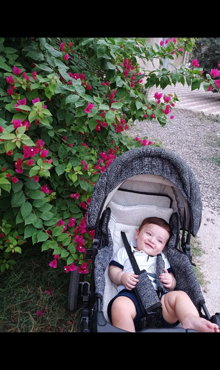 هشت ماهگی نوزاد صدرا اوتاری نژاد