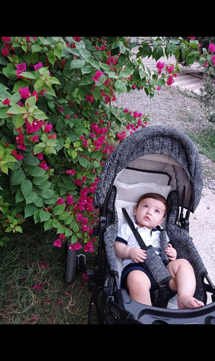 هشت ماهگی نوزاد صدرا اوتاری نژاد