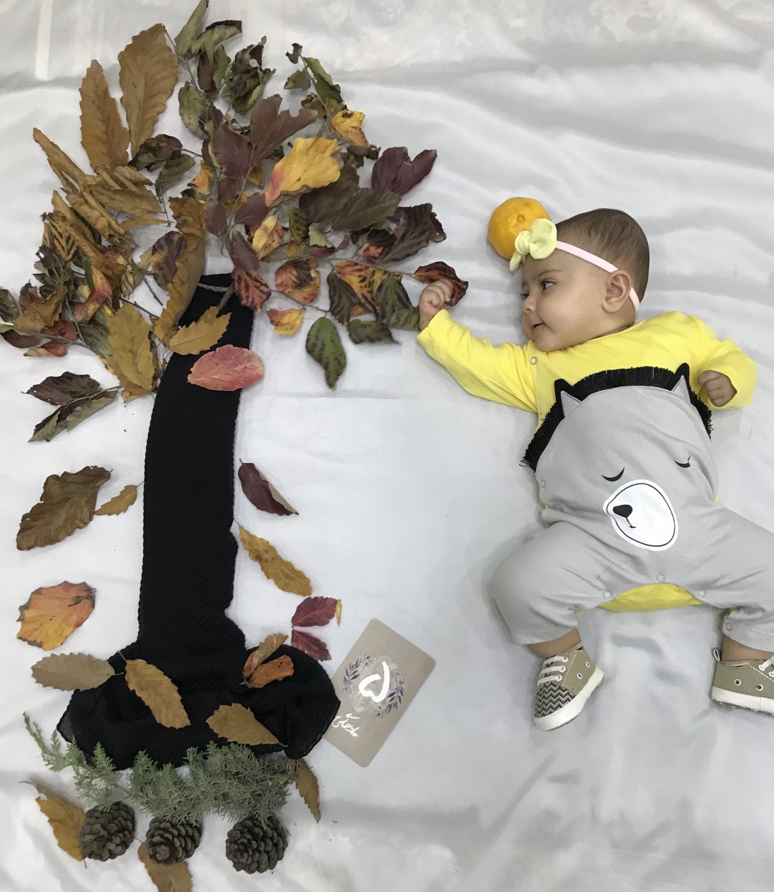 لباس-های-عکاسی-46491