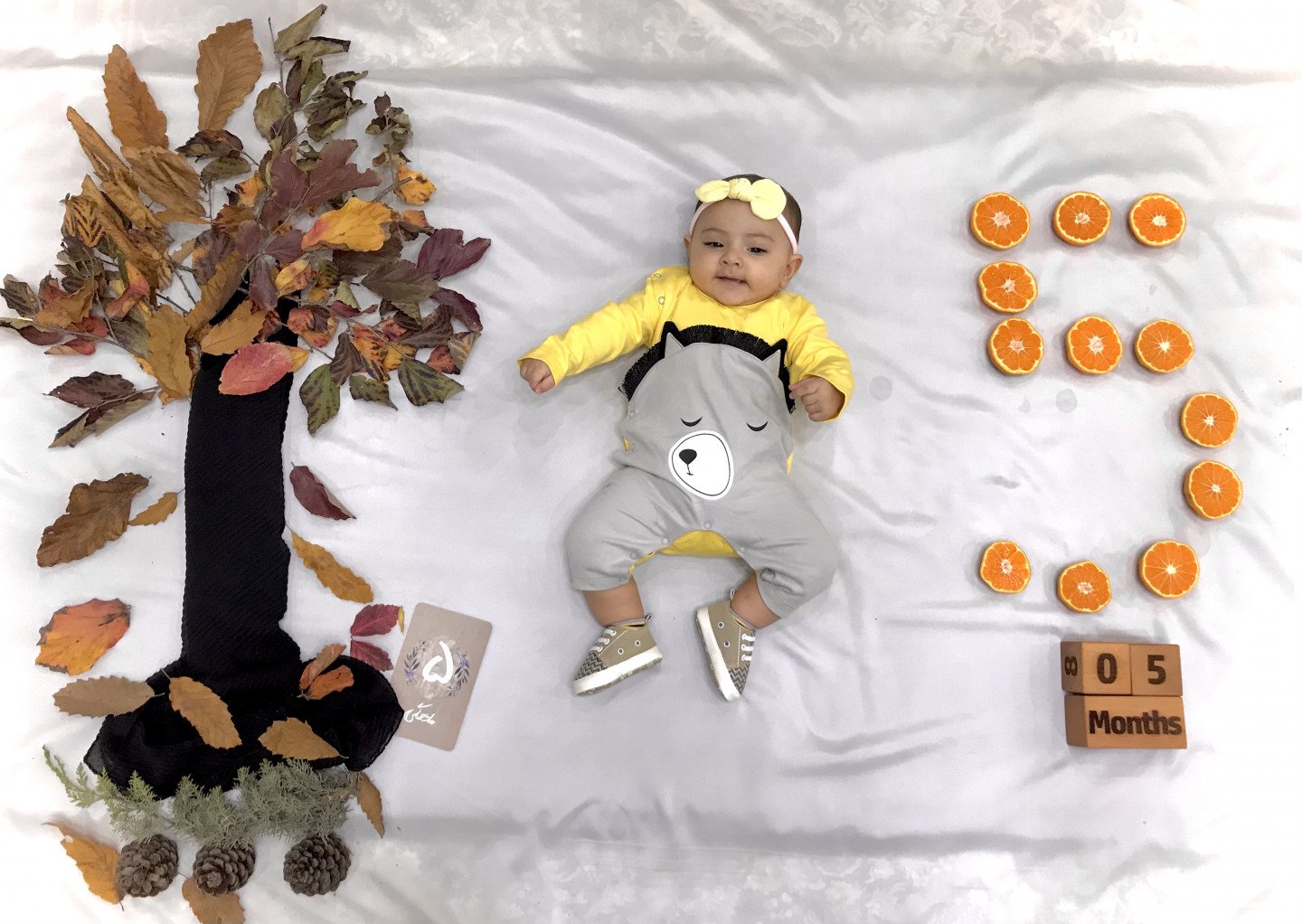 ایده دلین سادات حمزه