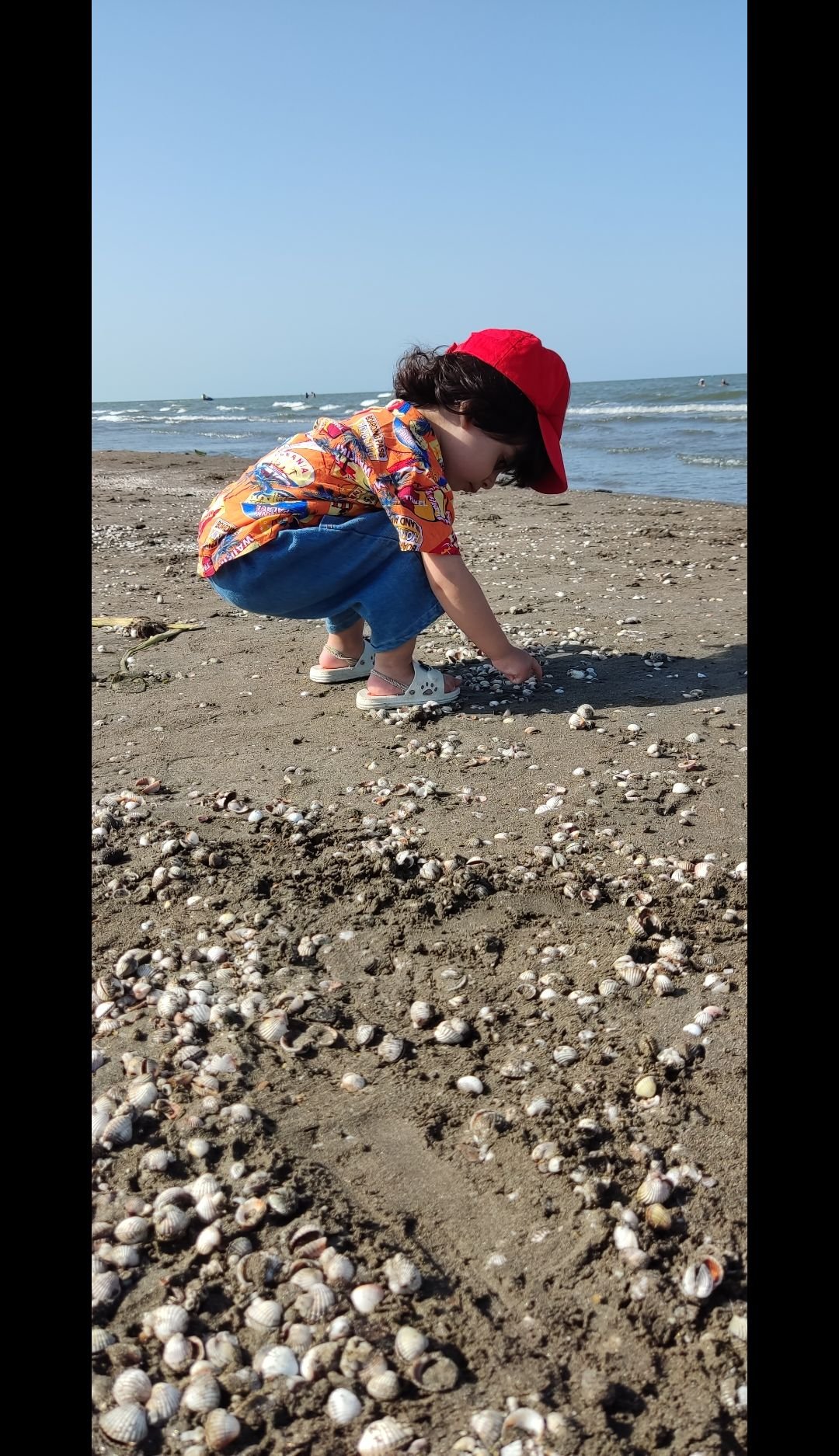 چند-ماهمه آراز