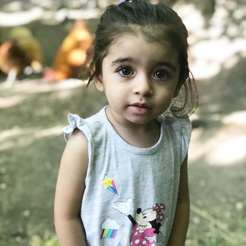 بیست ماهگی کودک دلارام رهنوردی