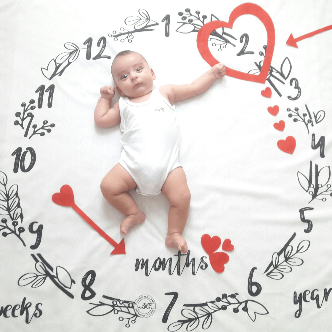 پارچه-های-عکاسی-20235