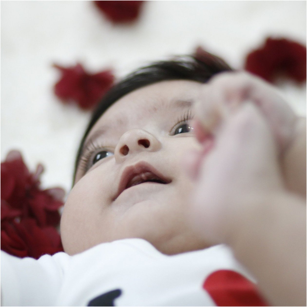 هفت ماهگی نوزاد ارمیا و الین