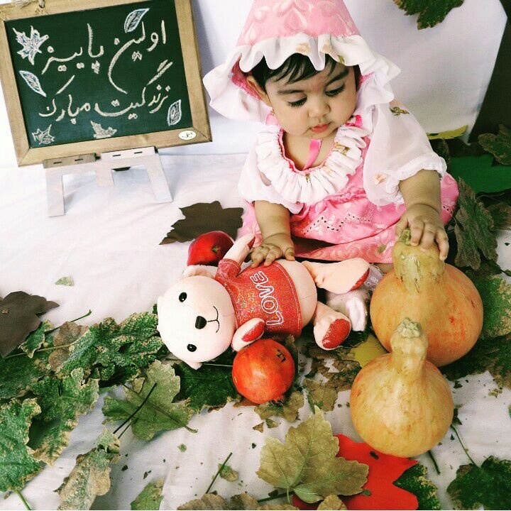 هفت ماهگی نوزاد نهال سیاوشی