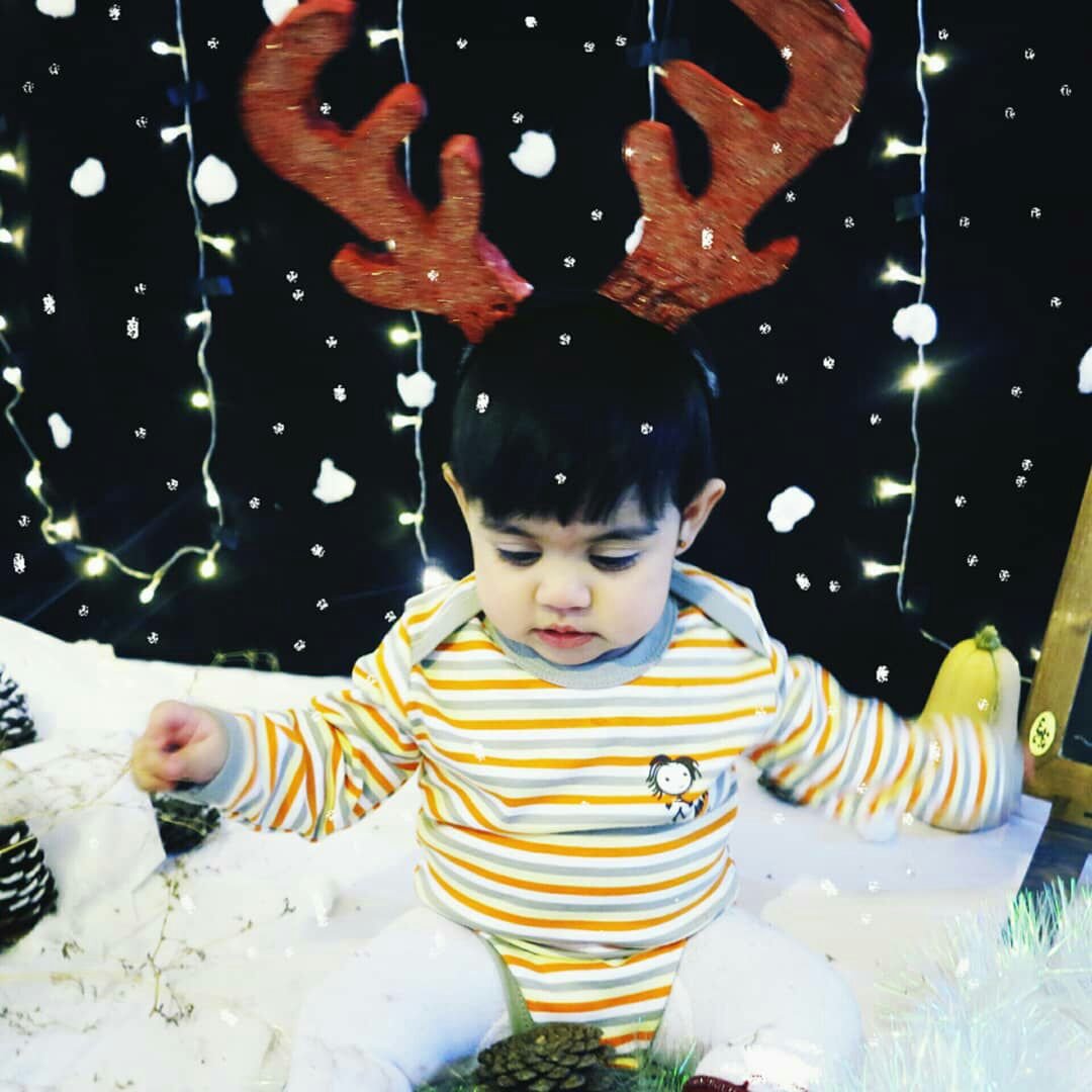 تم عکس زمستانی نوزاد نهال سیاوشی