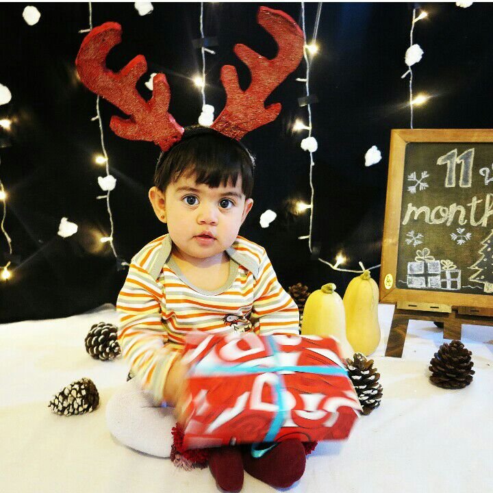 یازده ماهگی نوزاد نهال سیاوشی