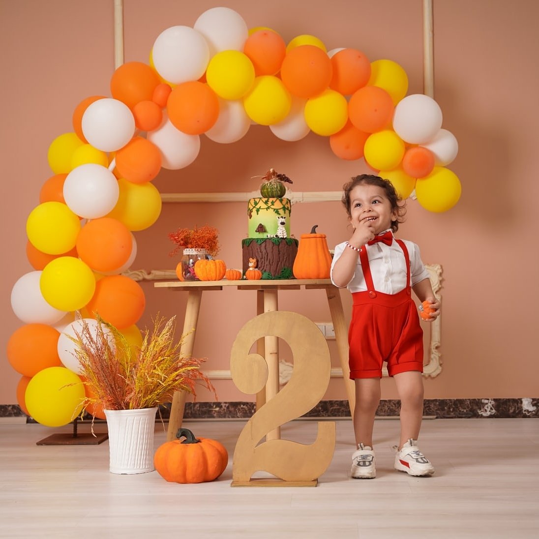 تم عکس پاییزی نوزاد آرتین حبیبی