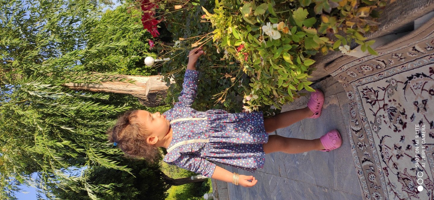 بیست و چهار ماهگی کودک آلا کشاورز