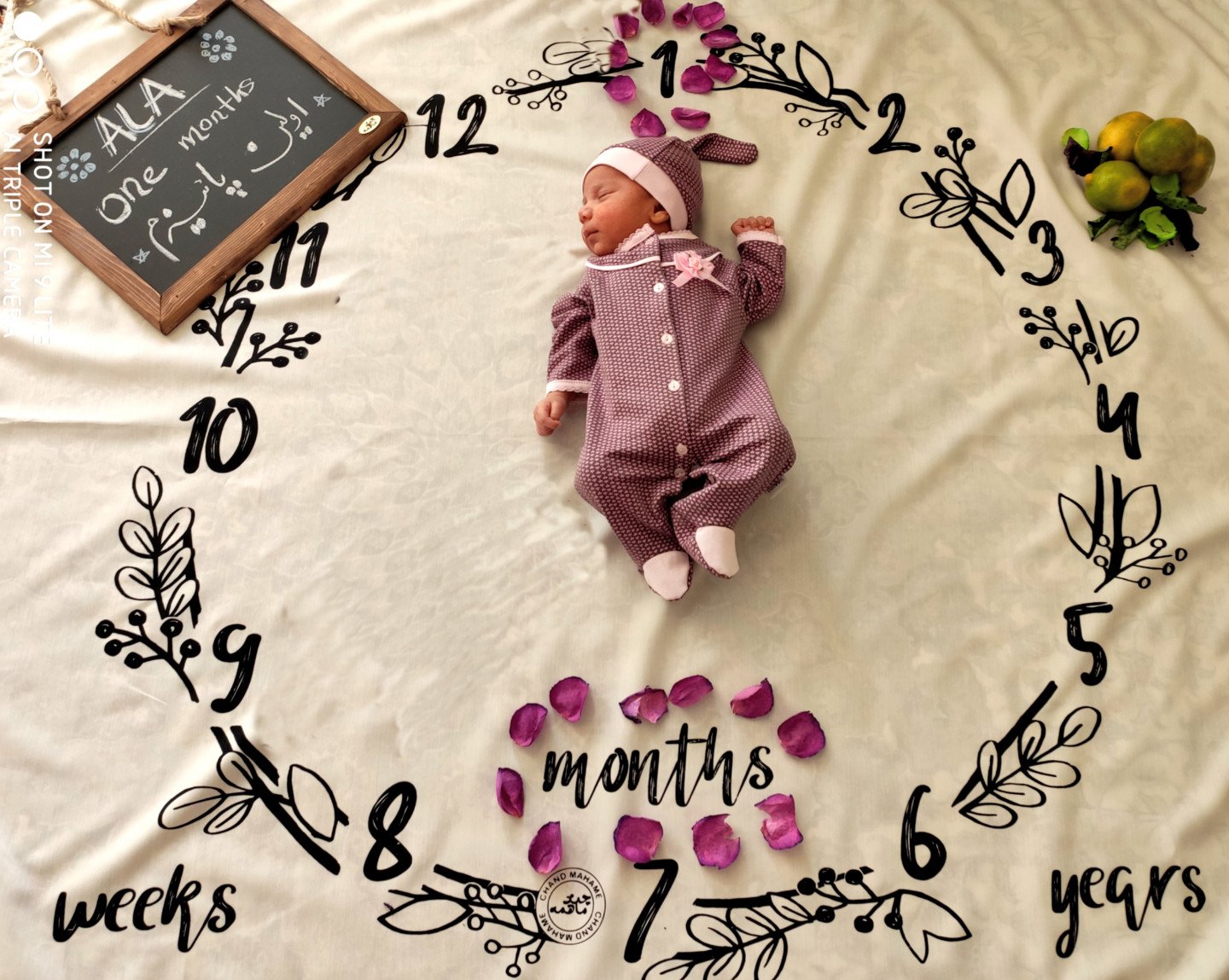 متولد شدن نوزاد آلا کشاورز