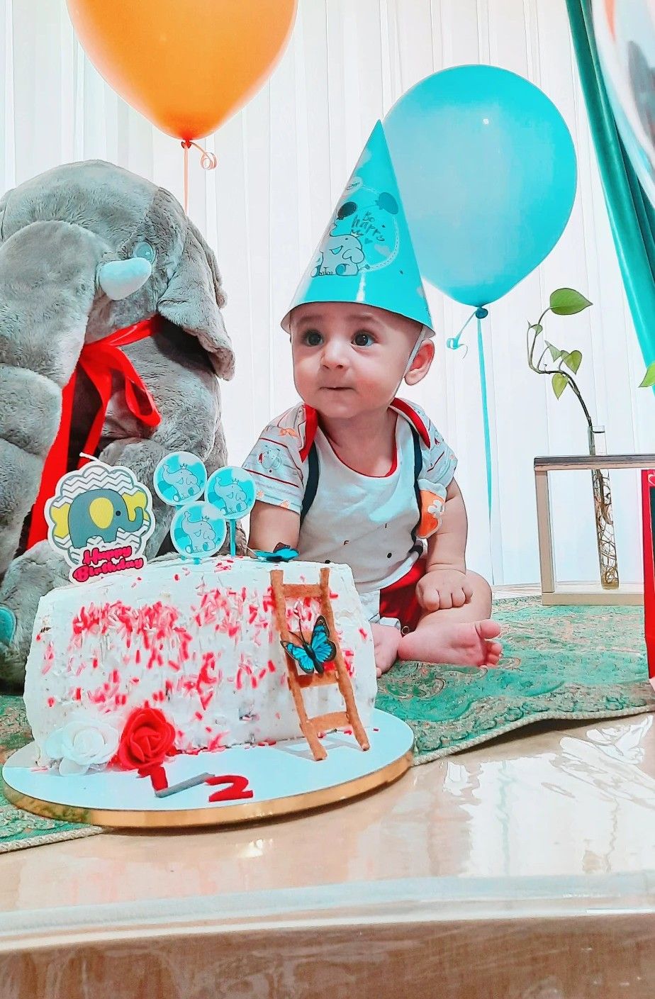 تم عکس تابستانی کودک محمد صدرا جمالی