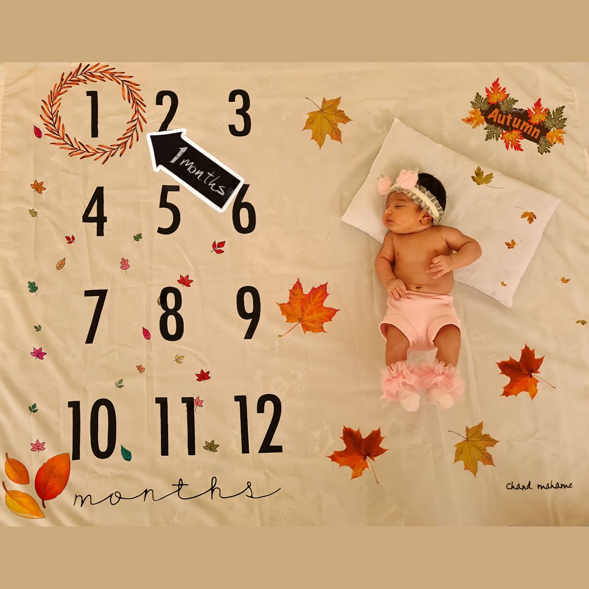 تم عکس پاییزی نوزاد روژدا گودرزی