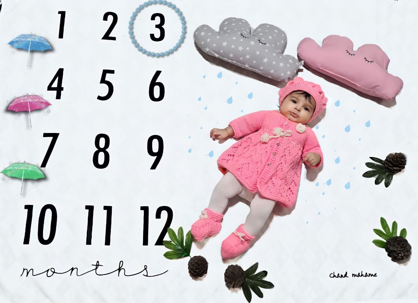 تم عکس زمستانی نوزاد روژدا گودرزی