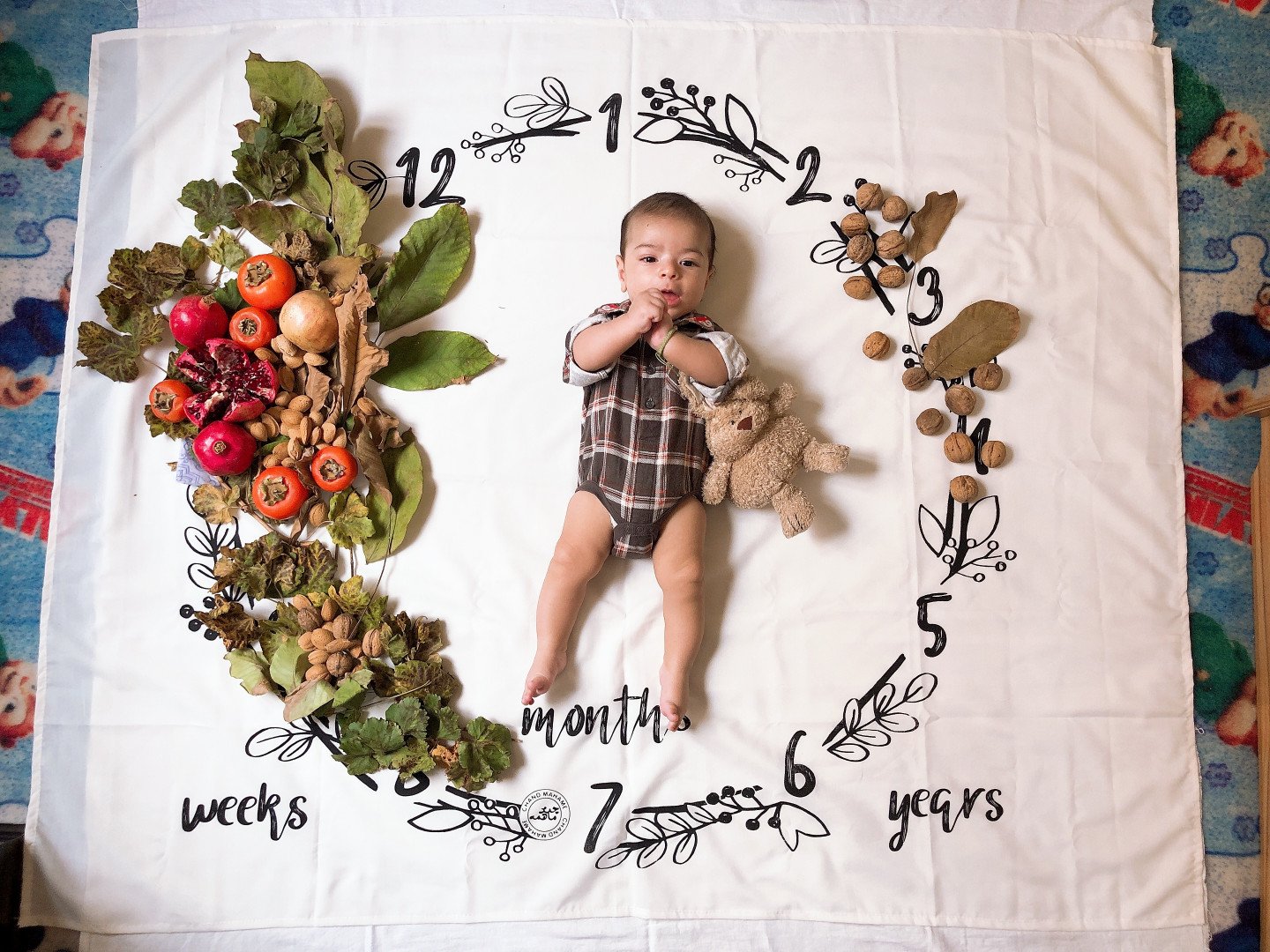 دفترهای-خاطرات-27091