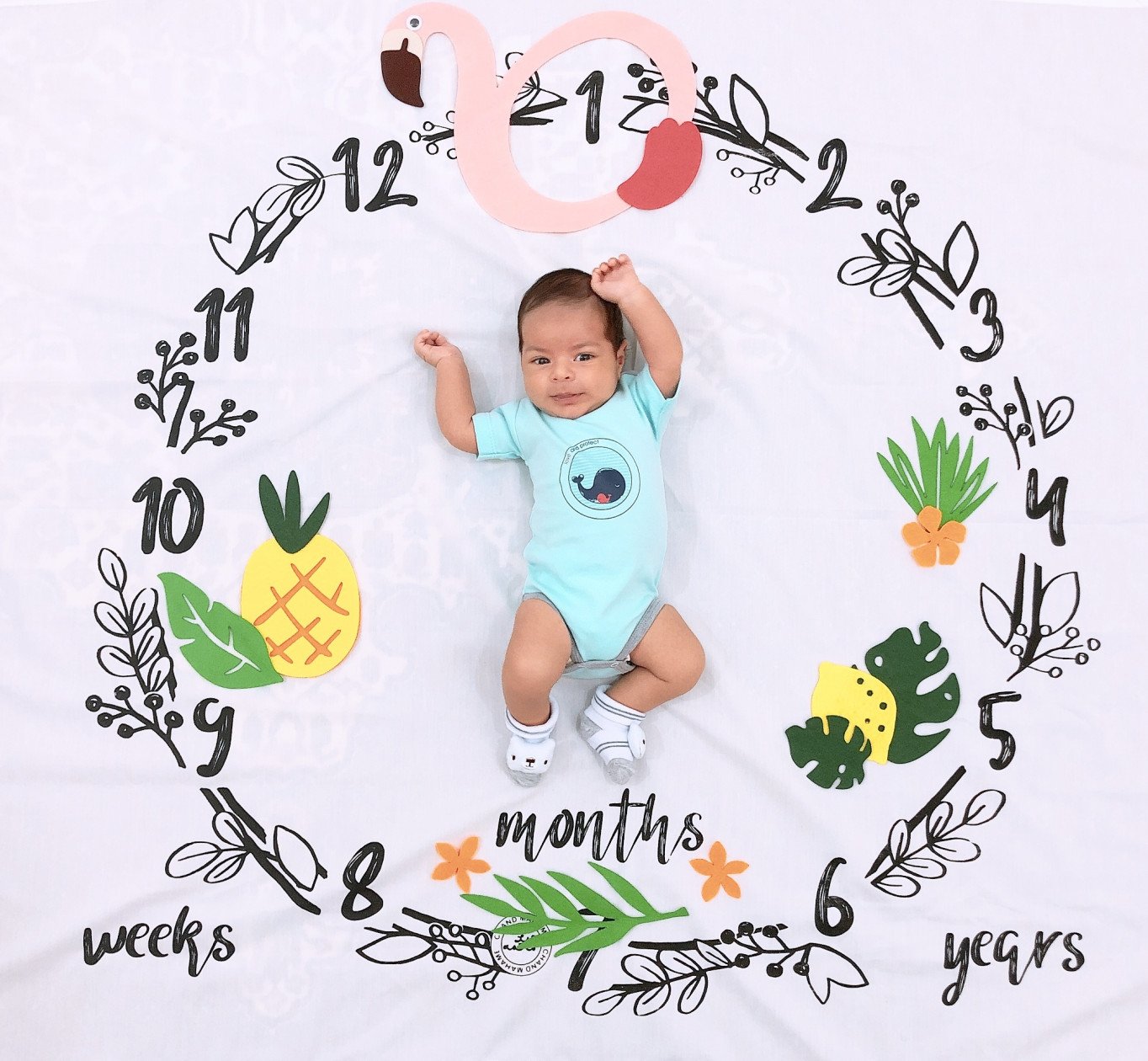 تم تابستانی سام پورزال