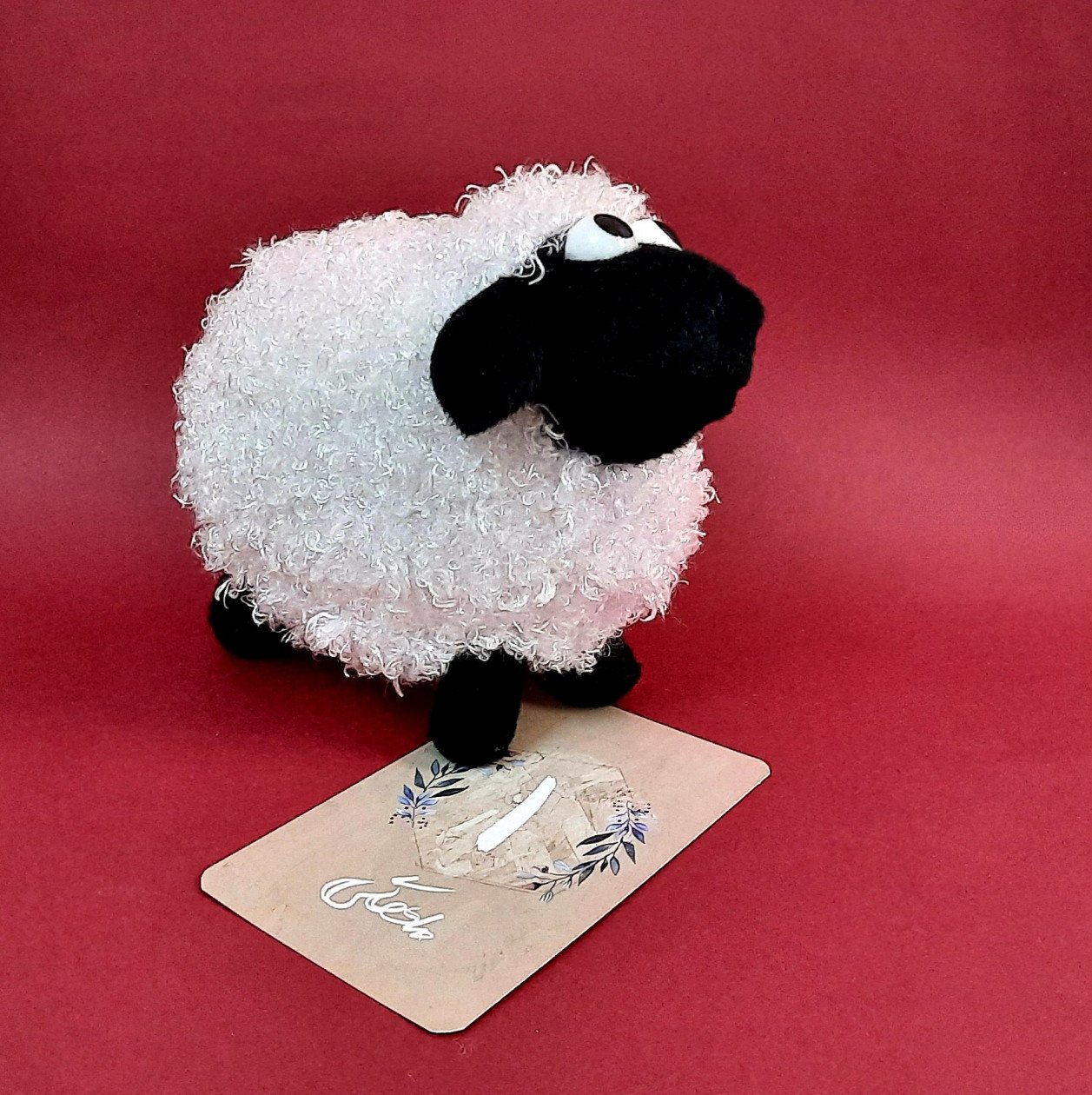 تم تابستانی سام پورزال