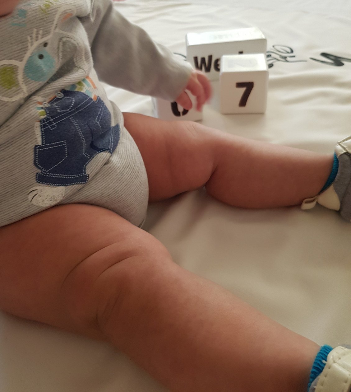 عید نوروز arsam