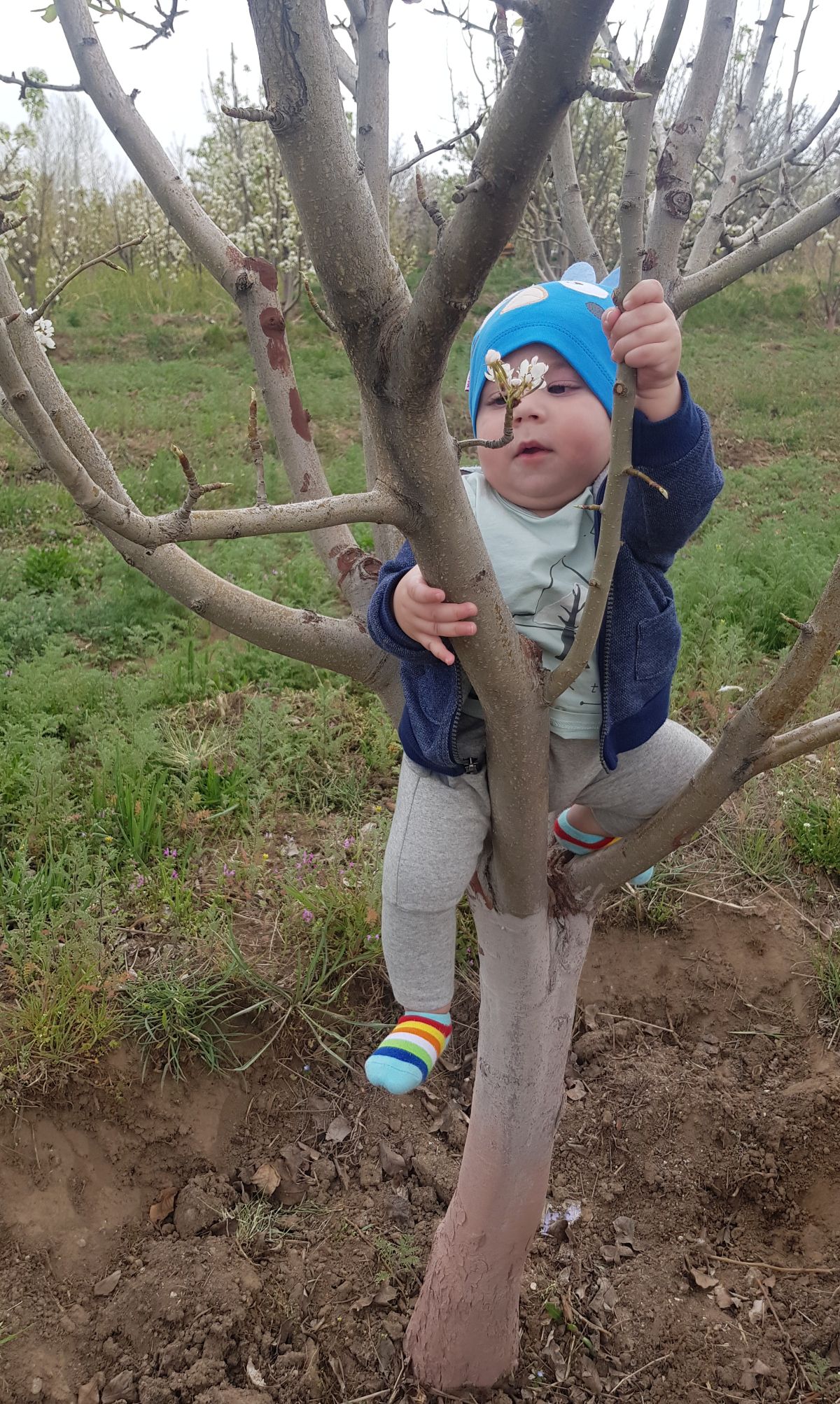 عکس سیزده بدر arsam