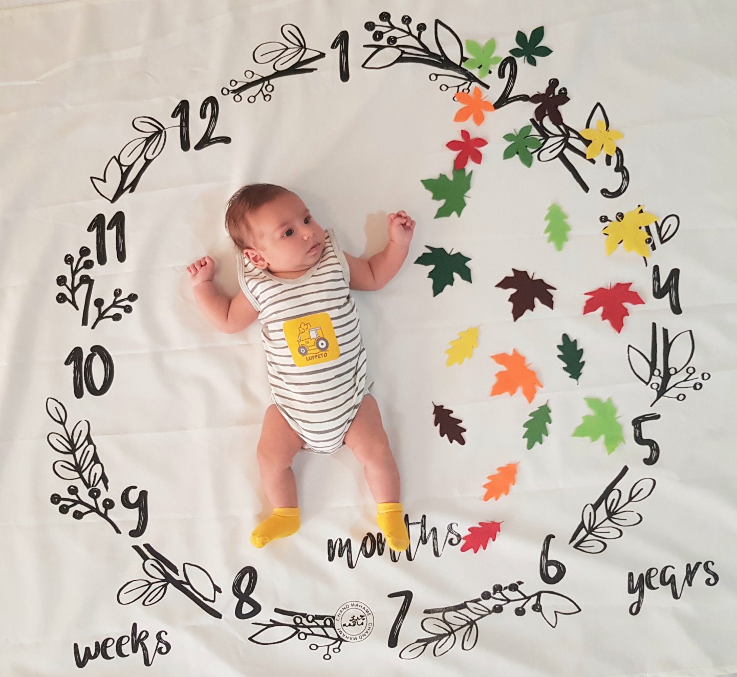 دو ماهگی نوزاد arsam