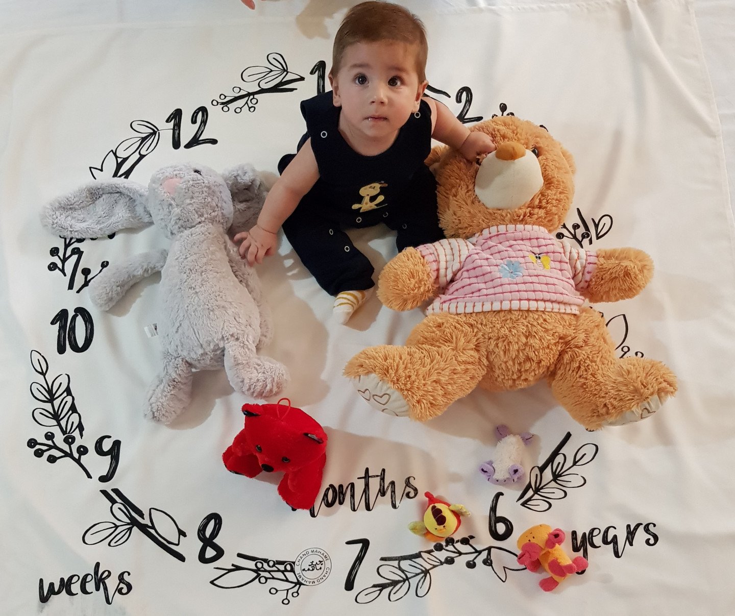 تم عکس زمستانی نوزاد arsam