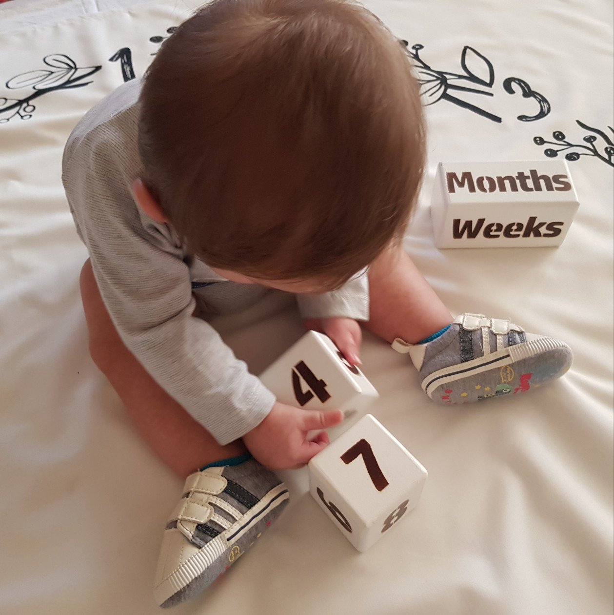 نشانگر ماهگرد تاج طلایی arsam