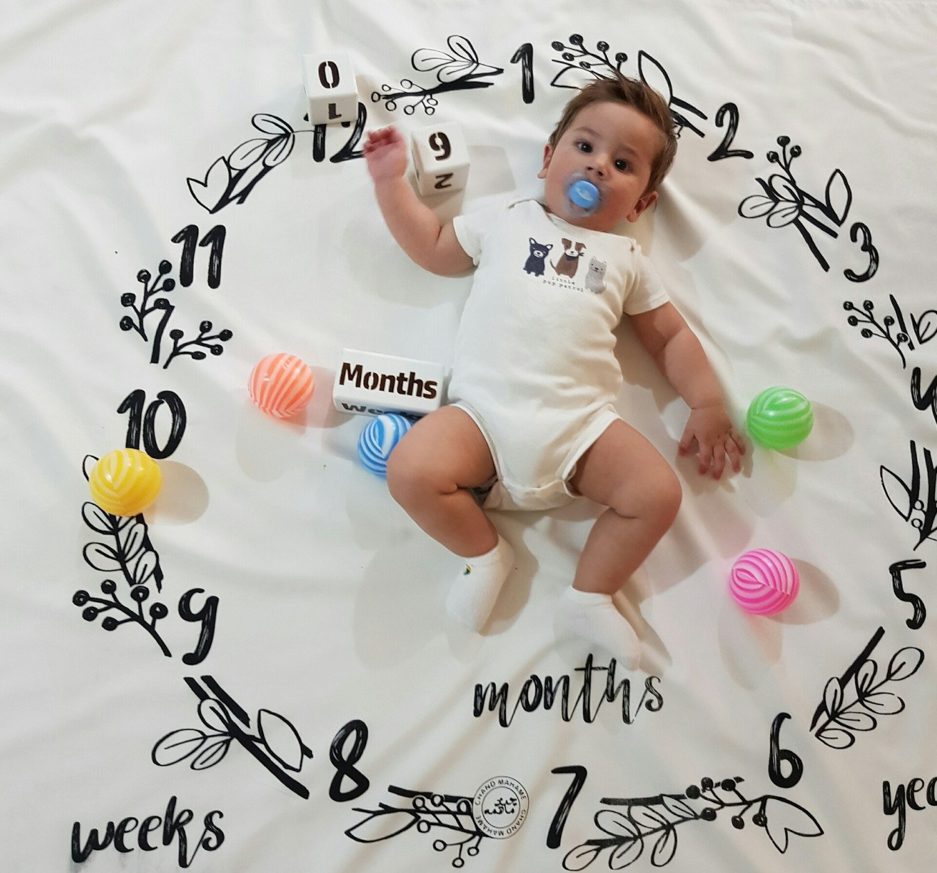 اولین بهار من arsam