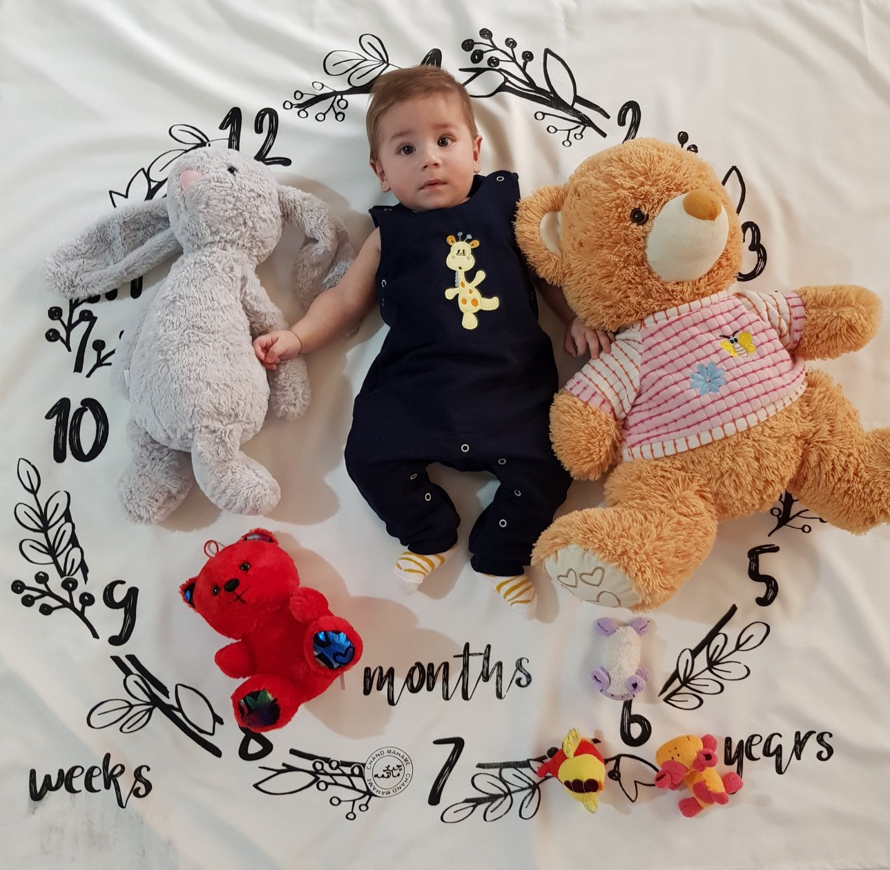 شش ماهگی نوزاد arsam