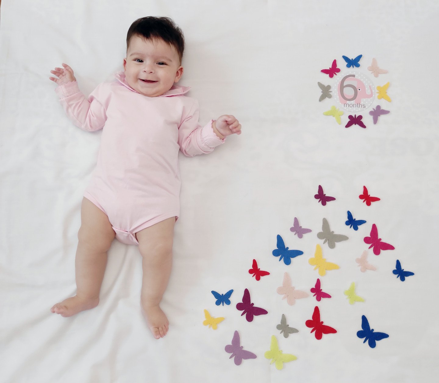 تم-و-تزیینات-نمدی-46531